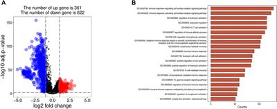 Immune Cell Infiltration and Relevant Gene Signatures in the Tumor Microenvironment that Significantly Associates With the Prognosis of Patients With Breast Cancer